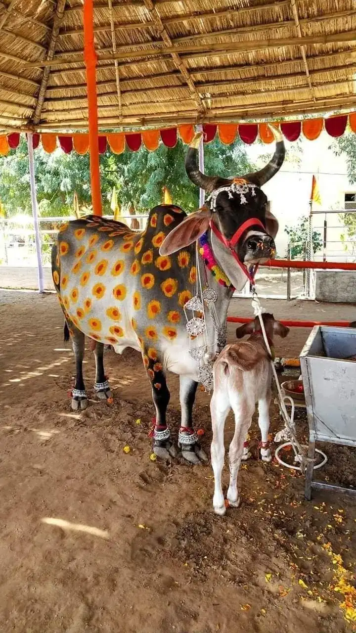 Govardhan Math Puri